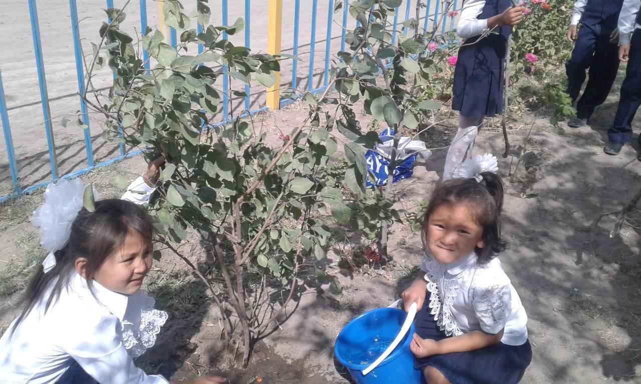 "Бір бала- бір ағаш"