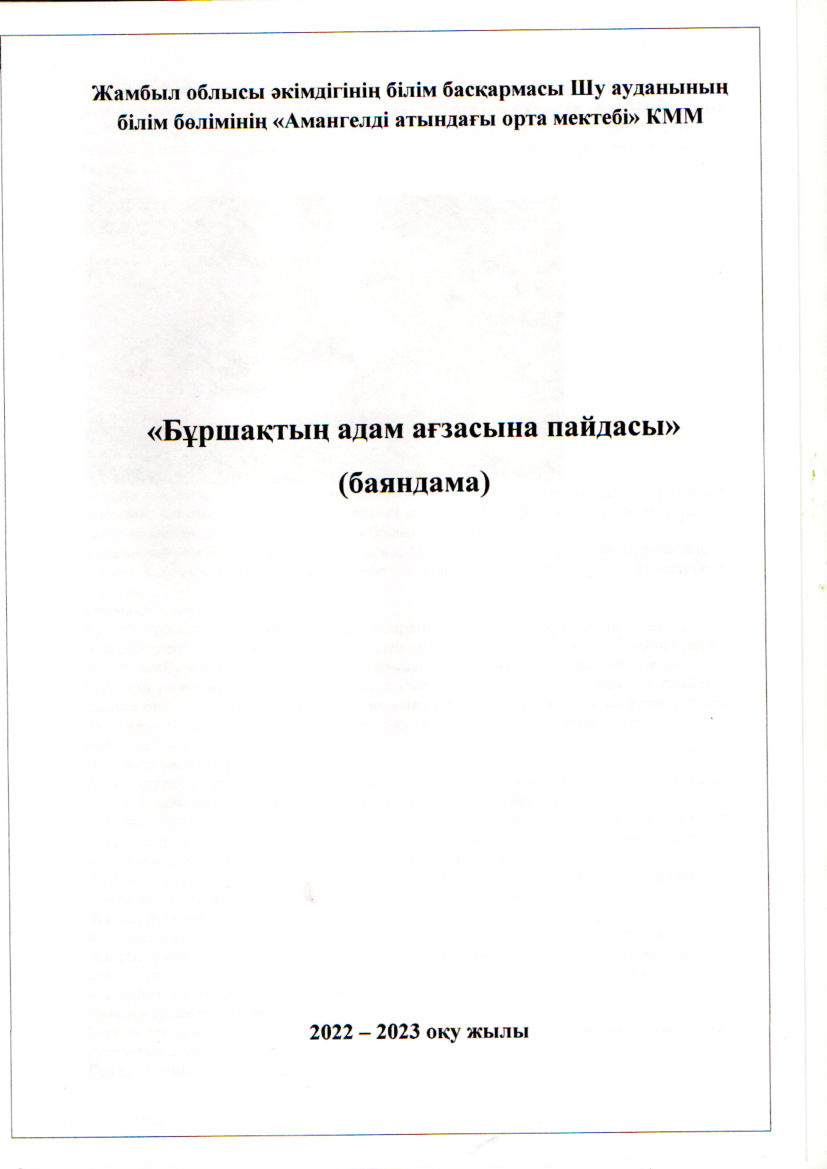 "Бұршақтың адам ағзасына пайдасы" баяндама